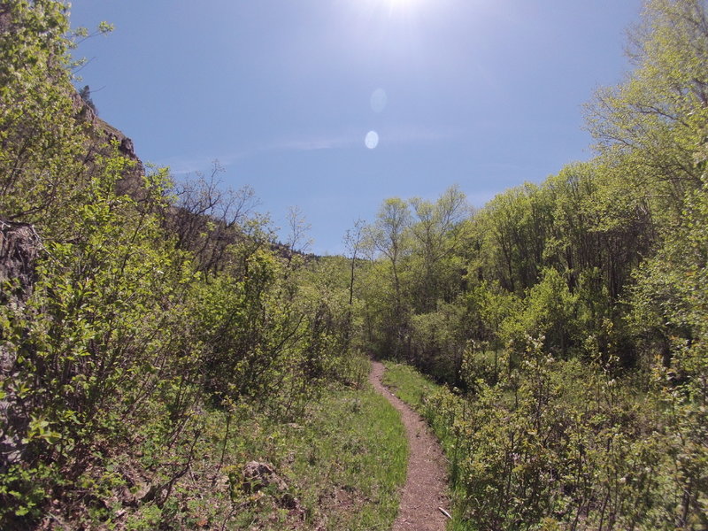 South Fork looking up. Beautiful!