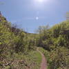 South Fork looking up. Beautiful!