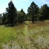 The Meadow—looking west.