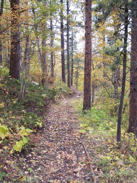 Upper Ogden Trail.