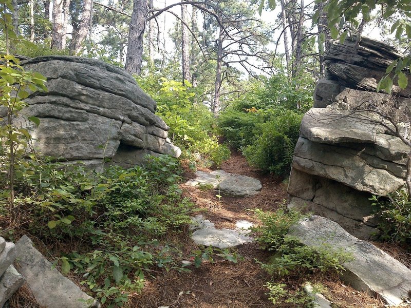 Kind of a cool rocky knoll on Hone Quarry Ridge.