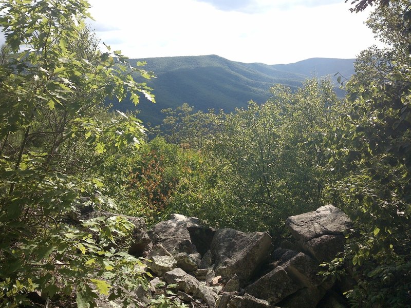 One of the few vistas along the ridge part of the loop.