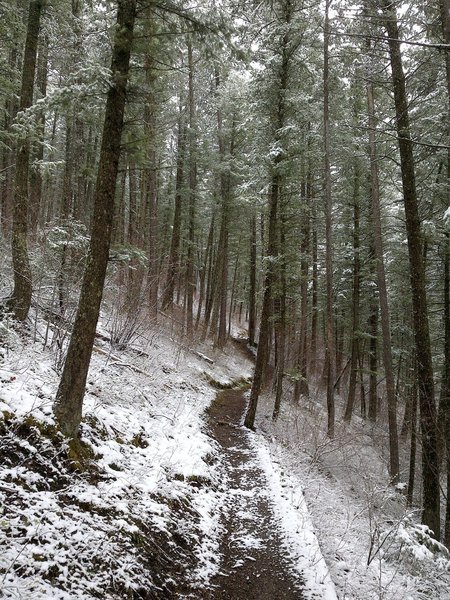 This is along the Garnet Mountain Lookout Trail (85).