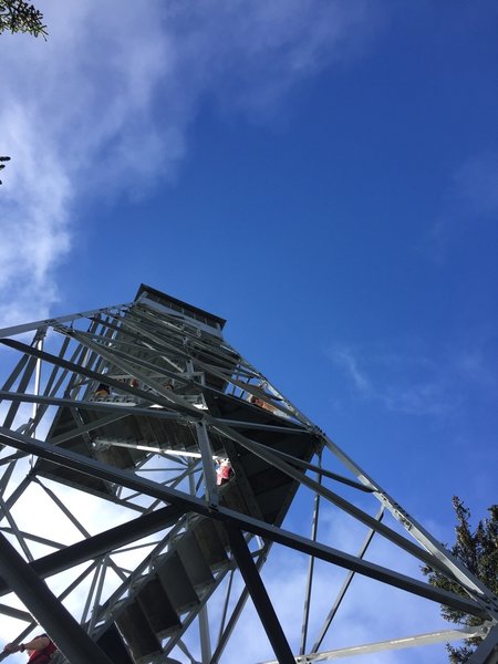Looking up at the Elmore Fire Tower.