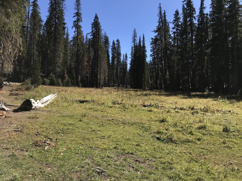 Let'er Buck Meadow on Haypress Trail.