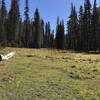 Let'er Buck Meadow on Haypress Trail.