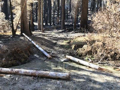 Halfmoon Creek Crossing on Haypress Trail