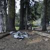 Campsite on Monument Lake