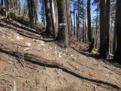 Bridge Creek Trail junction on Haypress Trail
