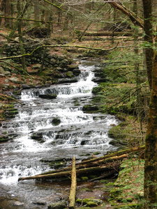 Stony Brook Lower Cascade.