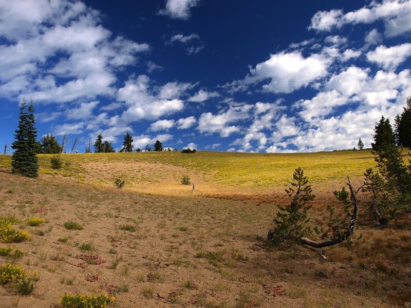 The crater in Crater Peak.