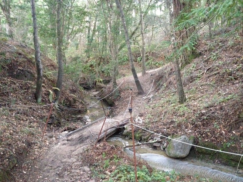 When you get to the bridge on Eucalyptus Loop, get ready for a short punchy ascent. Normally the creek is dry during the summer and fall.