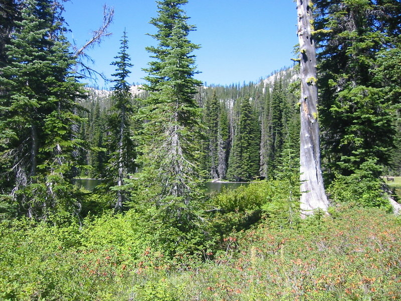 Looking out onto the Cougar Lakes.