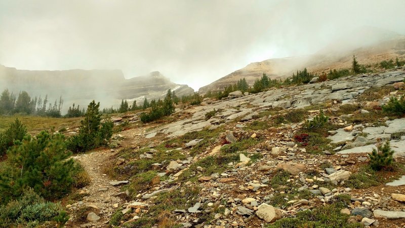 Mumm Basin Route travels at the tree line, with peaks and cliffs to the right (northwest) of the trail