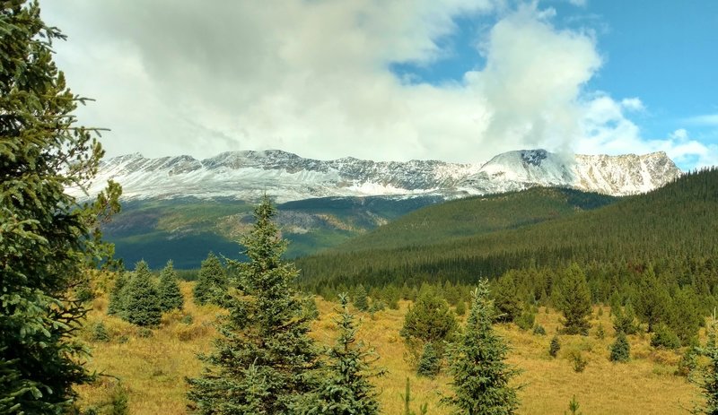 Snowy Calumet Ridge is in the distance, as the Moose River Route heads north across meadows dotted with firs.