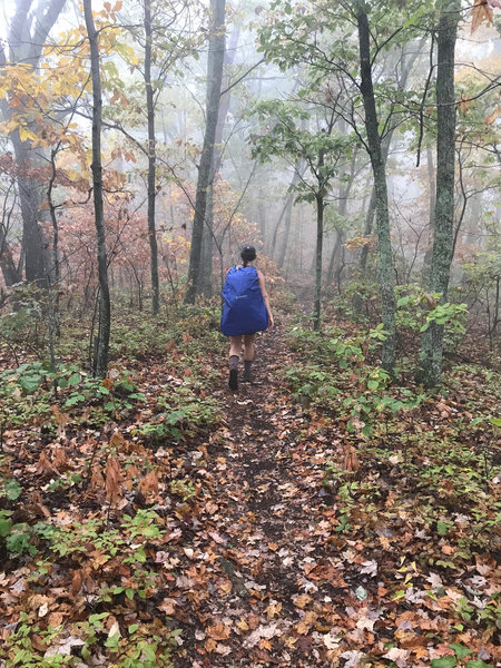 Catawba Mountain in a Cloud.