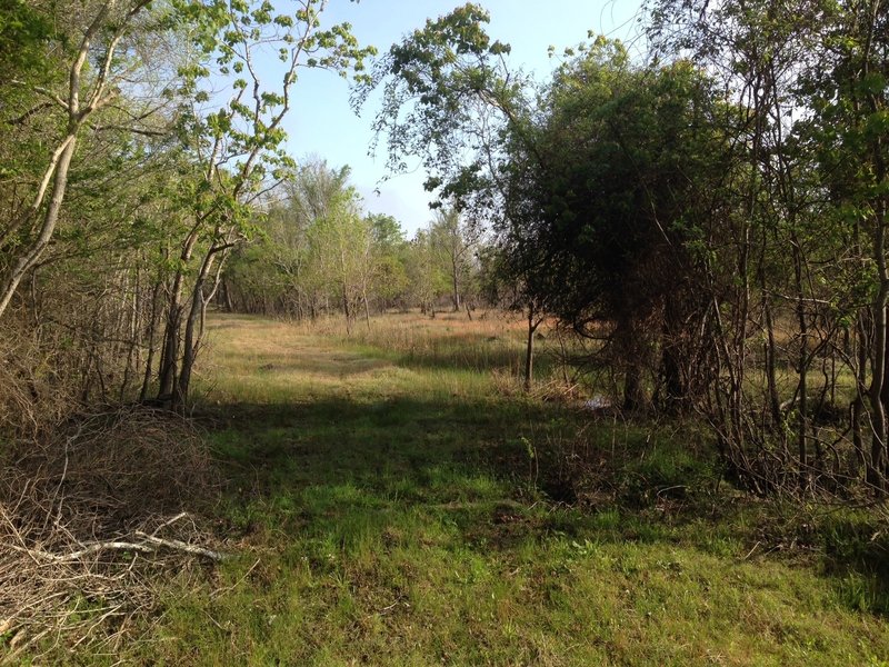 Southern entrance to Phillips Cutoff from Bauer Trail.