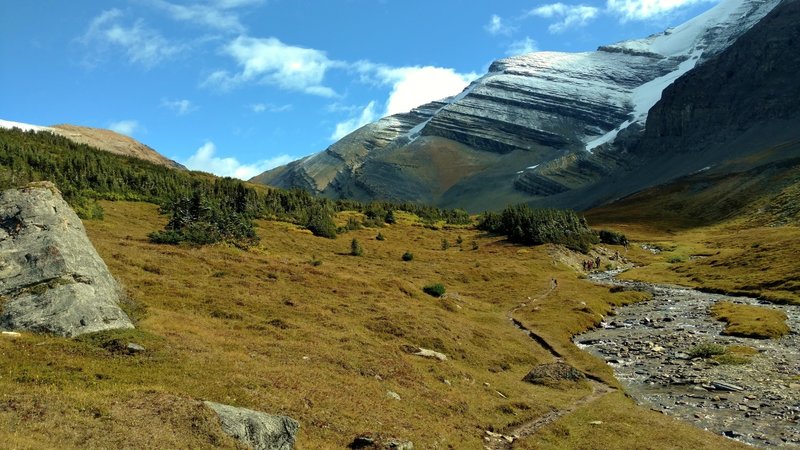 Snowbird Pass Route runs through high meadows with Lynx Mountain rising on the right, and Ttikana Peak in the distance on the left.