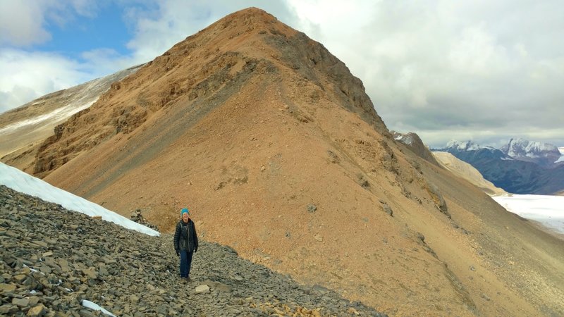 Made it! Titkana Peak rises above Snowbird Pass on the Continental Divide, with the Reef Icefield to the right (east).