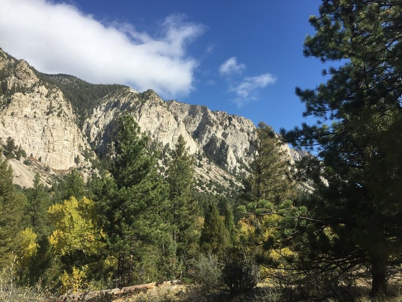 Views of the Chalk Cliffs.