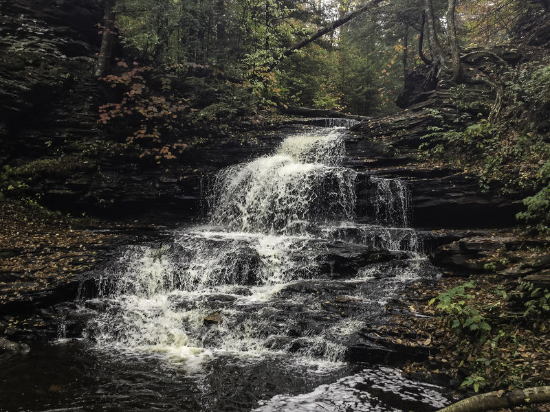 Onondaga Falls 15'