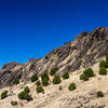 Volcanic rocks in Robert Louis Stevenson State Park.