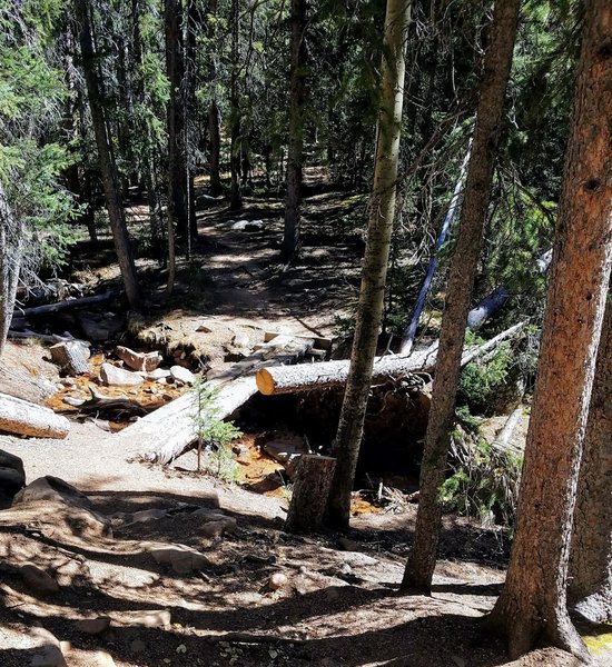 Log Bridge Trailhead for Devil's Playground