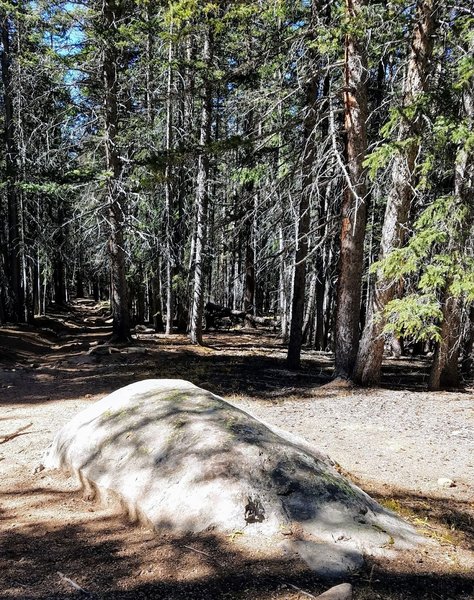 Great resting rock on Devil's Playground Trail.