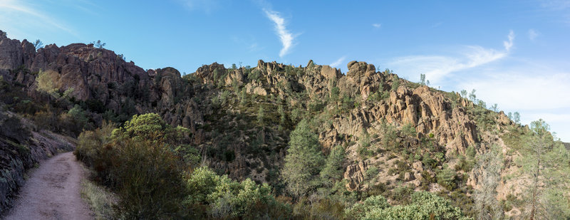 Pinnacles from High Peaks Trail