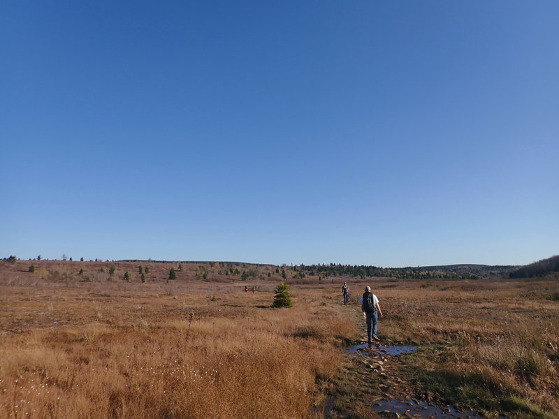 Heading through the Dolly Sods.