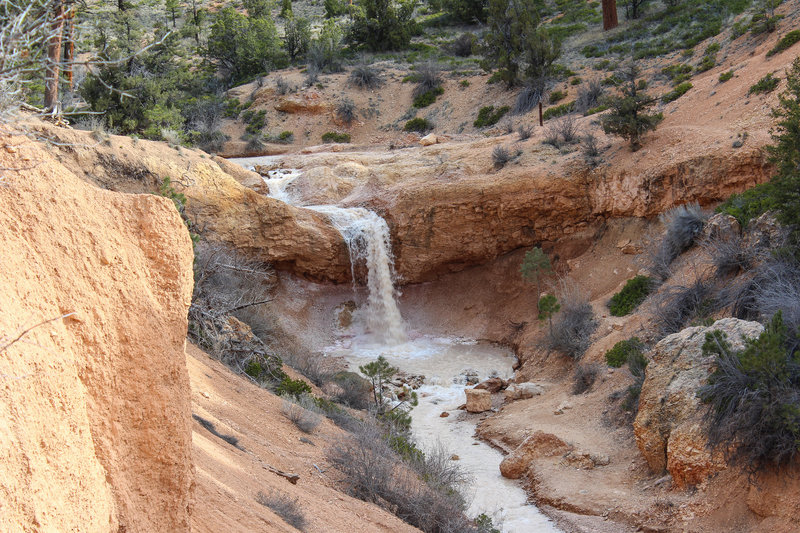 Waterfall near Mossy Cave