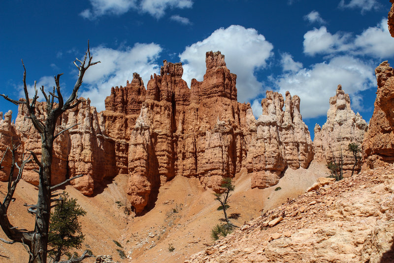 Hoodoos on Peekaboo Loop Trail