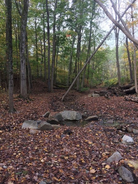 Buckeye Trail at Cuyahoga Valley NP