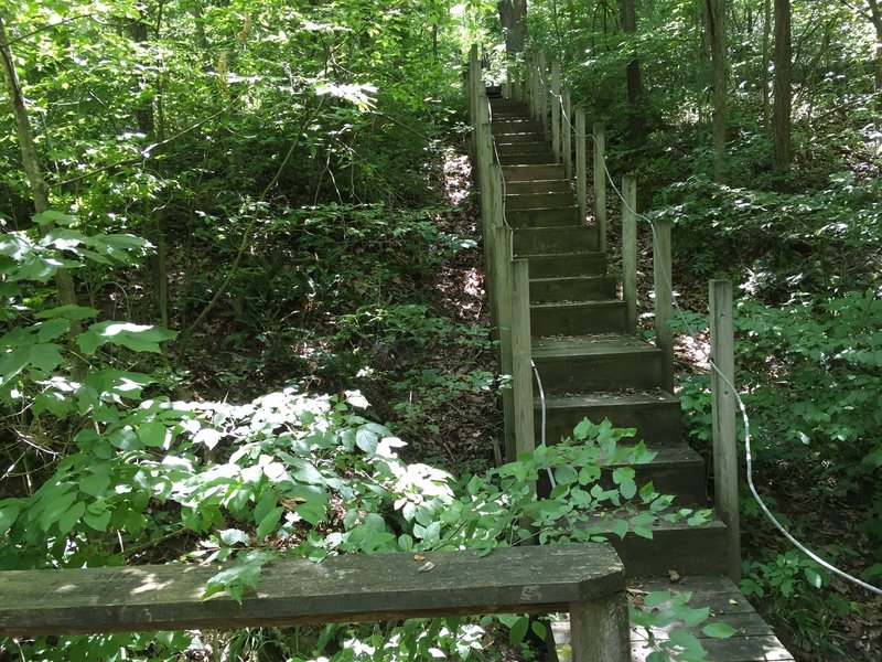 Looking back at the steps from the observation deck at the end of Lakeshore Trail