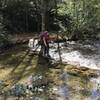 One of many river crossings along this trail, with this being one of the shallowest.