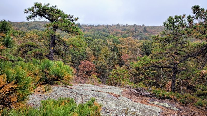 A picturesque rainy day along Bearfort Ridge Trail in Abram Hewitt State Park