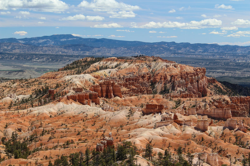 Bristlecone Point