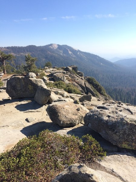 View overlooking Redwood Mountain Grove