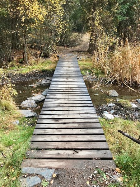 Bridge crossing creek at trail convergence area.