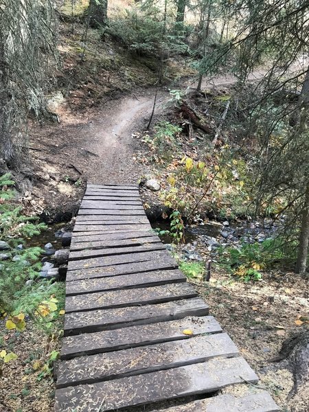 Bridge on trail.