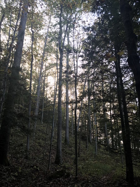 Sun beginning to come up over the ridge about half way up the trail.