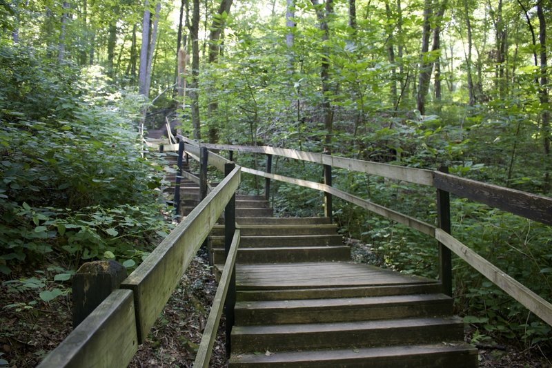 Steps leading up from the Donaldson Cave area