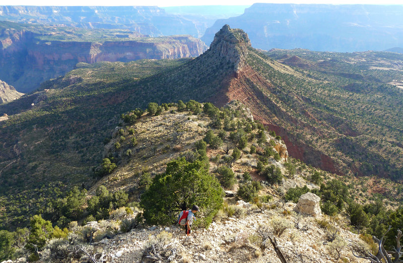 Descent from Monument Point on the Bill Hall Trail