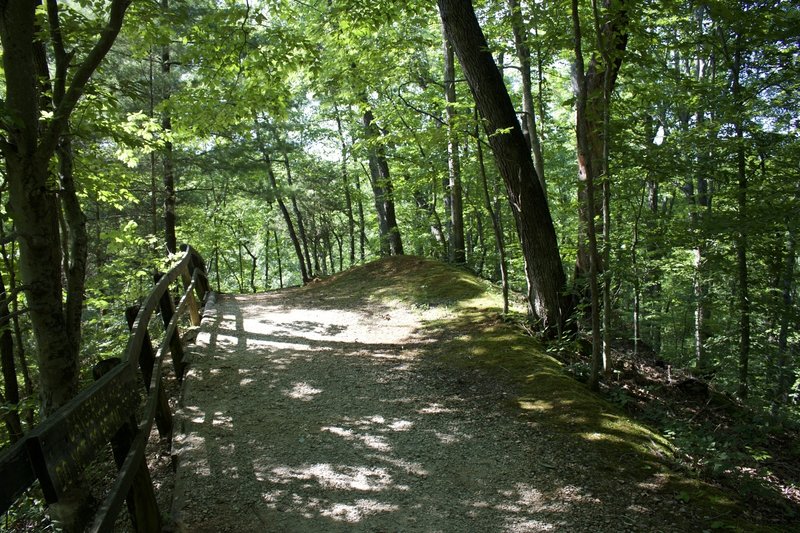 Trail 4 above the Pioneer Village.