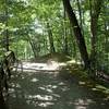 Trail 4 above the Pioneer Village.