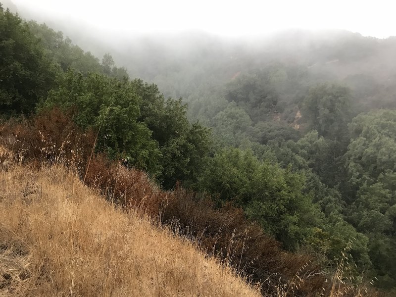 Morning fog in the mountains.