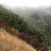 Morning fog in the mountains.