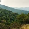 Barlow Road Trail runs through the rugged Santa Cruz Mountains