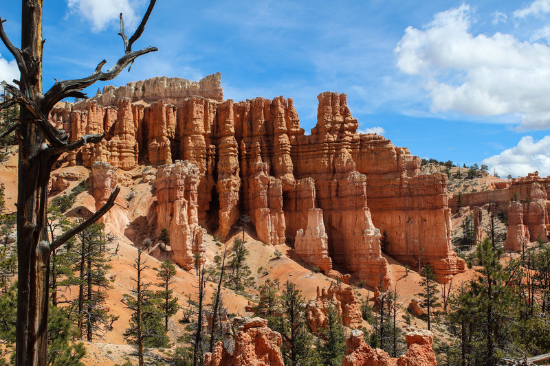 Hoodoos on Fairyland Loop Trail