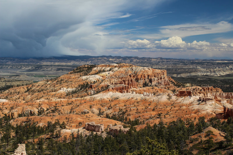 Bristlecone Point